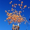 Balloon Race 4