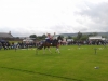 2013-horse-acrobatics